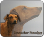 Mousepad Deutscher Pinscher